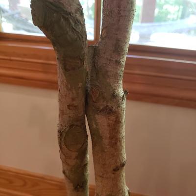 Four Faux Plants (LLR-KD)