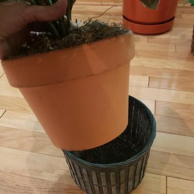 Four Faux Plants (LLR-KD)