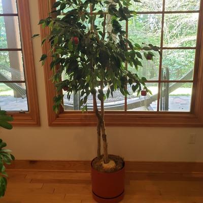 Four Faux Plants (LLR-KD)
