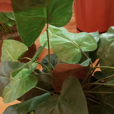 Four Faux Plants (LLR-KD)