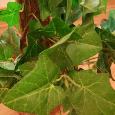 Four Faux Plants (LLR-KD)