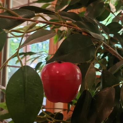 Four Faux Plants (LLR-KD)