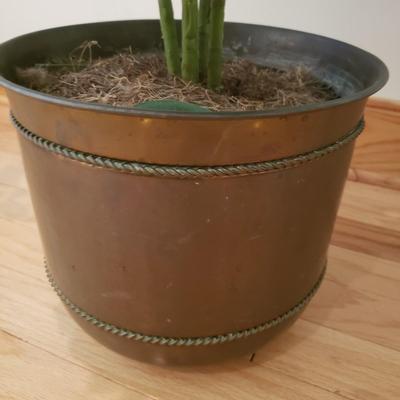 Four Faux Plants (LLR-KD)