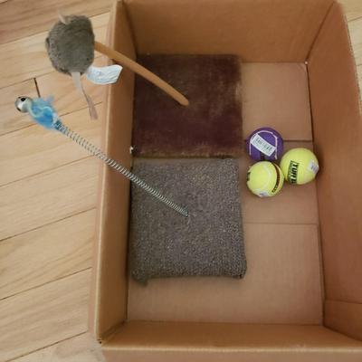 NIB Cat Toys, Cat Tunnel, Cat Mouse Odor Eliminator and More (LLR-KD)