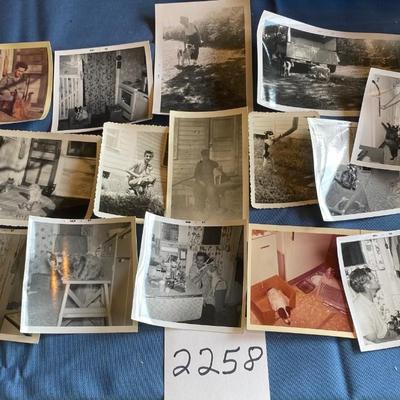 Vintage Pet Pictures