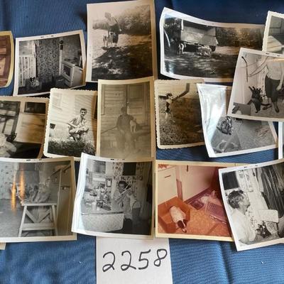 Vintage Pet Pictures