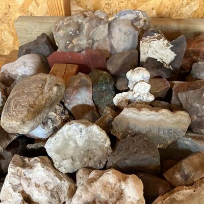 Assorted rocks, geodes, agates & petrified wood