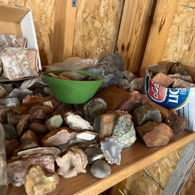 Assorted rocks, geodes, agates & petrified wood