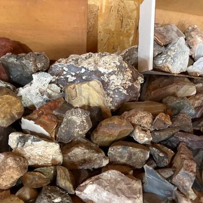 Assorted rocks, geodes, agates & petrified wood