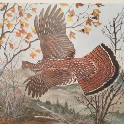 Pencil Signed & Numbered Fine Art Prints by D. Williams & D. Ravers (B2-KD)