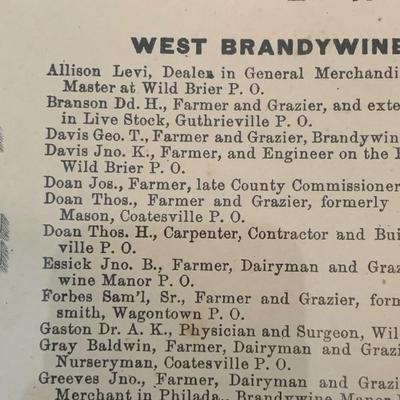 Framed Vintage Map - Brandywine