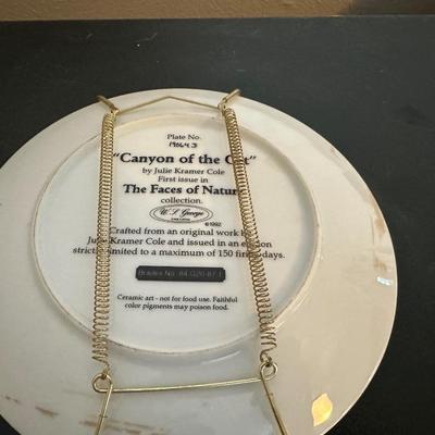 COLLECTOR'S PLATES DEPICTING NATIVE AMERICANS