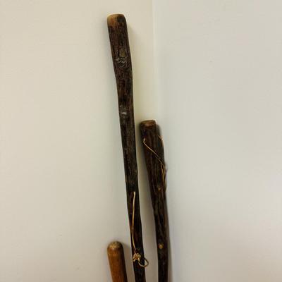 Walking Sticks, Tracks Sherlock Staff, and Leki Light-Walk Pole (C-TF)
