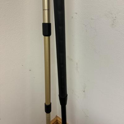 Walking Sticks, Tracks Sherlock Staff, and Leki Light-Walk Pole (C-TF)