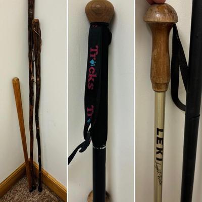 Walking Sticks, Tracks Sherlock Staff, and Leki Light-Walk Pole (C-TF)