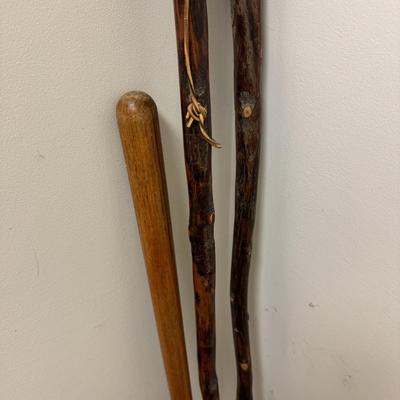 Walking Sticks, Tracks Sherlock Staff, and Leki Light-Walk Pole (C-TF)