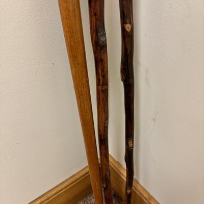 Walking Sticks, Tracks Sherlock Staff, and Leki Light-Walk Pole (C-TF)