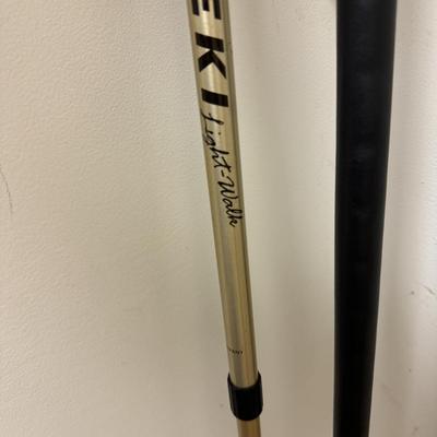 Walking Sticks, Tracks Sherlock Staff, and Leki Light-Walk Pole (C-TF)