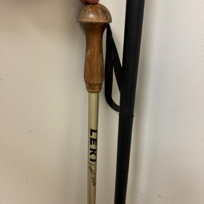 Walking Sticks, Tracks Sherlock Staff, and Leki Light-Walk Pole (C-TF)