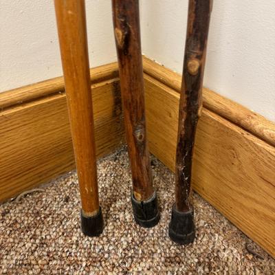 Walking Sticks, Tracks Sherlock Staff, and Leki Light-Walk Pole (C-TF)
