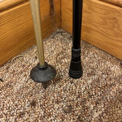 Walking Sticks, Tracks Sherlock Staff, and Leki Light-Walk Pole (C-TF)