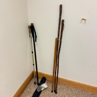 Walking Sticks, Tracks Sherlock Staff, and Leki Light-Walk Pole (C-TF)