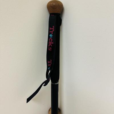 Walking Sticks, Tracks Sherlock Staff, and Leki Light-Walk Pole (C-TF)