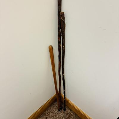 Walking Sticks, Tracks Sherlock Staff, and Leki Light-Walk Pole (C-TF)