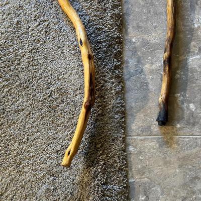 WALKING STICK AND WOODEN CANE