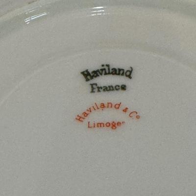Haviland & Co Limoges, France Soup and Saucer China and More (K-DZ)