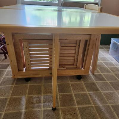 Portable Folding Table & 4 Chairs
