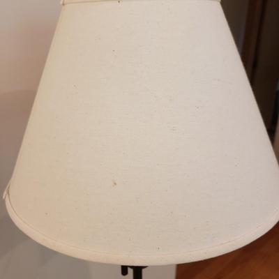 Metal Decorative Floor Lamp LLR-KD)