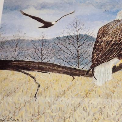 3 Pieces Wall Art Bald Eagle, 2 Parrots