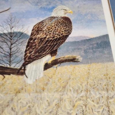3 Pieces Wall Art Bald Eagle, 2 Parrots