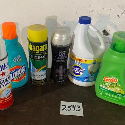Household Lot