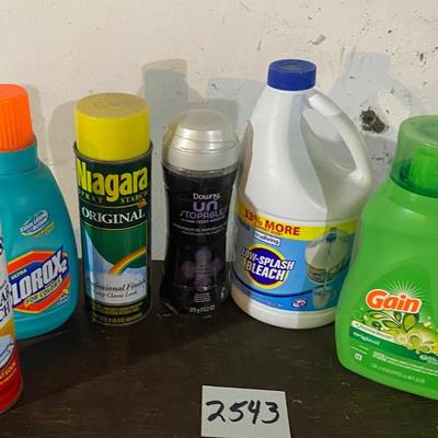 Household Lot