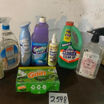 Household Lot