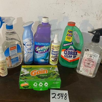Household Lot