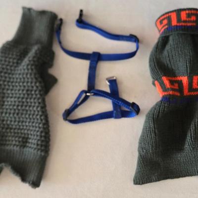 (2) Small Pet Sweaters and Harness