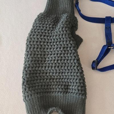 (2) Small Pet Sweaters and Harness