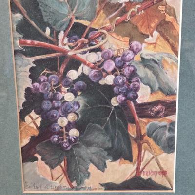 Dorothy Northrup "Vine of Life" #1 of 50 Print