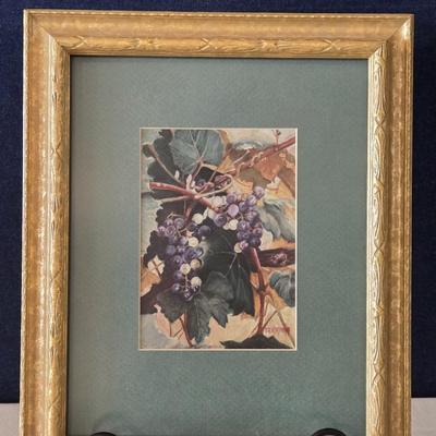 Dorothy Northrup 'Vine of Life' Print