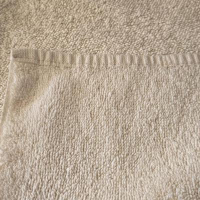 (2) White Terry Cloth Bath Mats #1