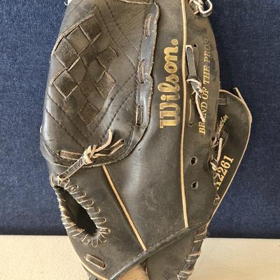 Black Wilson Glove and Glove Conditioner