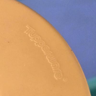 Tupperware Pet Food and Water Feeders