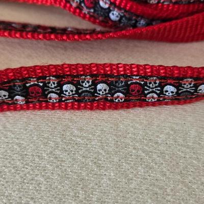 Dog Not Pad, Leash, and New Paw Tection