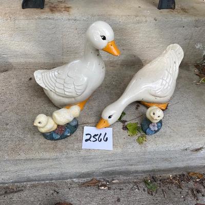 Duck and Chick Lot