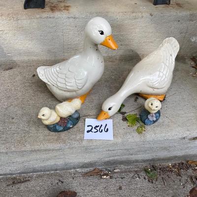 Duck and Chick Lot