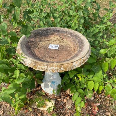 Bird Bath