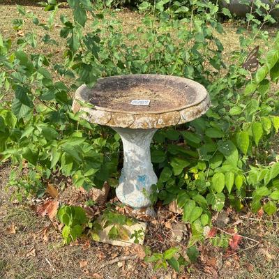 Bird Bath